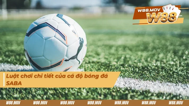 Luật chơi chi tiết về bóng đá ảo SABA
