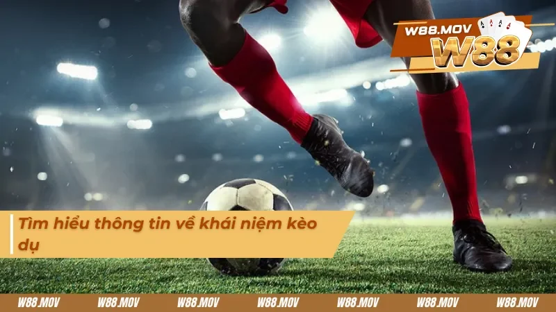 Giới thiệu chi tiết giúp newbie hiểu hơn về kèo dụ