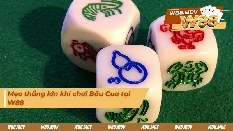 Kinh nghiệm thắng lớn từ các cao thủ